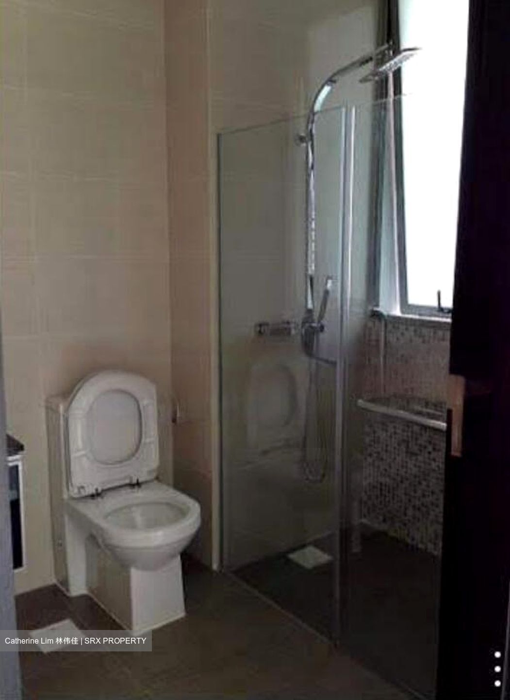 Loft @ Stevens (D10), Apartment #460691951